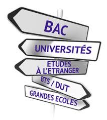10 tips for successful academic and vocational guidance